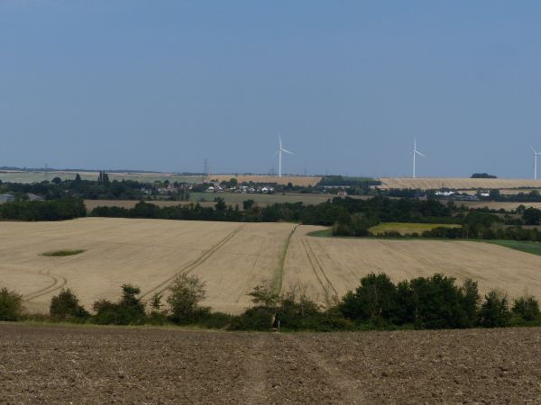 path crossing a field toward a hedge and further fields with two white wind turbines under blue sky